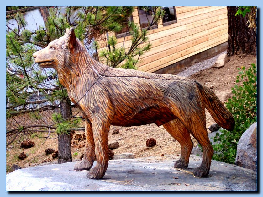 2-93 wolf-archive-0025